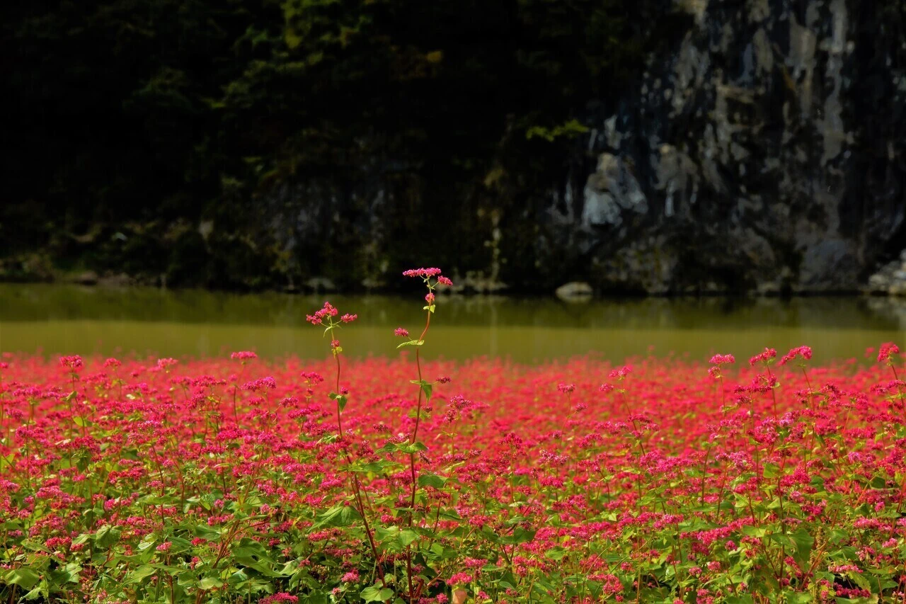 3a4e91443aceb98722b964c2e94b55fc34caad5b