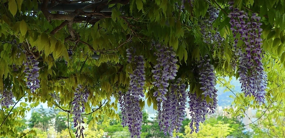 d5b3eeffb37e98f8aa41b51af306adc9d3c2a878