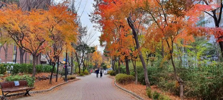 00ebc5a1b1fab17249c0c3f5c0cc3c9cacb02181