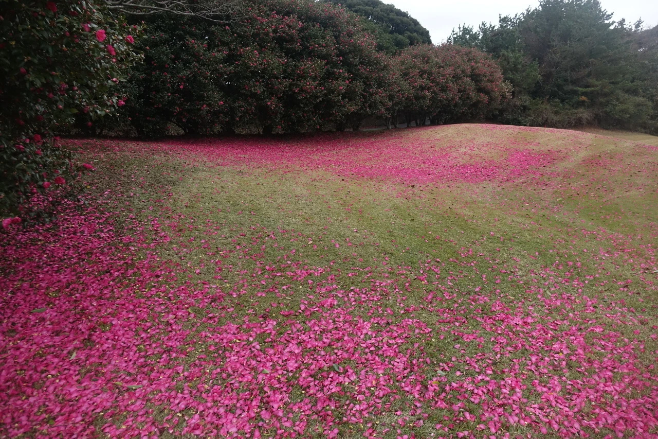 4e81e0ab231a1f8a81efdef3fd66a54b598e8e7c