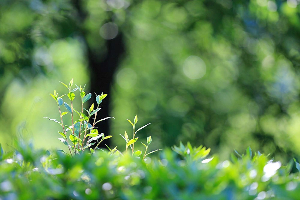 8747de6140a05a340bac44a99cdd583b688f785b