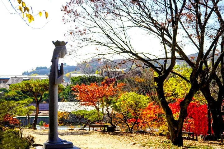 e2e96742cd314441ff5d6cbc0f343878b710c6a6