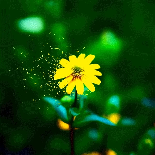 31c1c4d61fc1c3207d28ce561854e7ef16ecfc2e