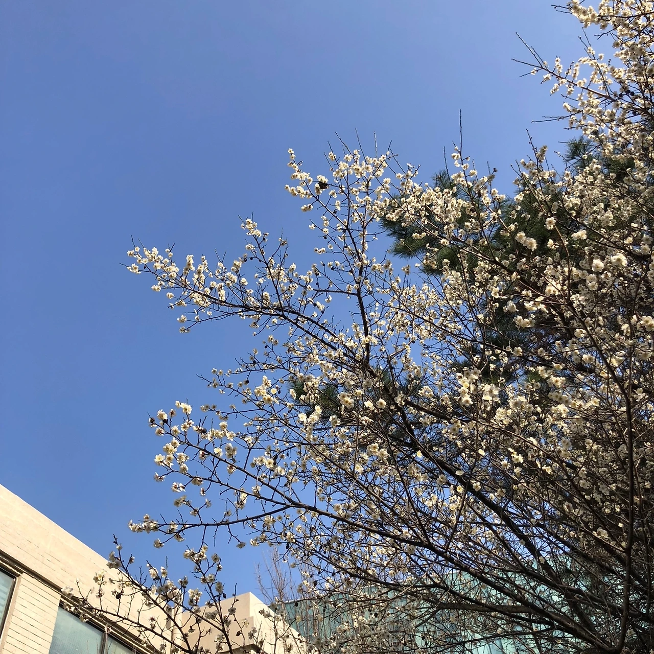 KakaoTalk_Photo_2024-03-23-20-12-44 004.jpeg