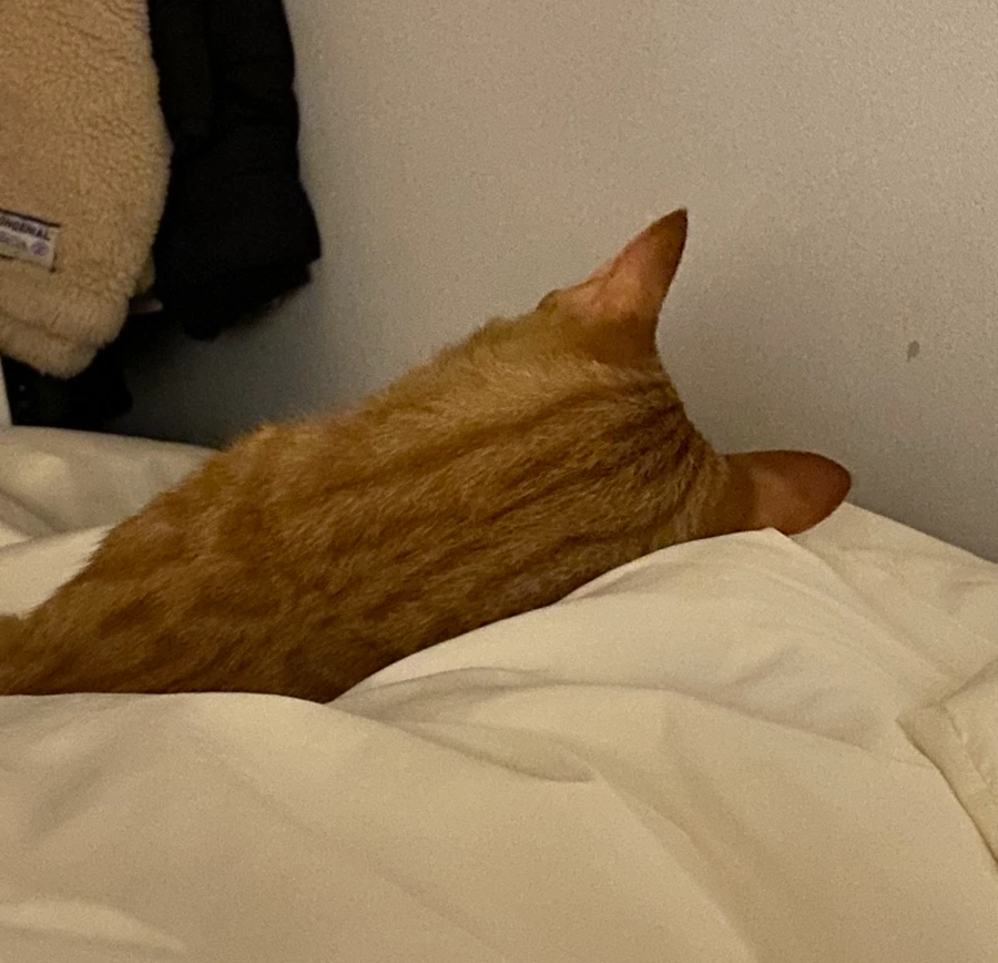 IMG_4933.jpg?type=w1