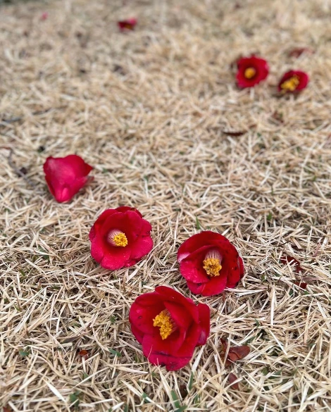 KakaoTalk_Photo_2022-03-15-08-51-13 006.jpeg