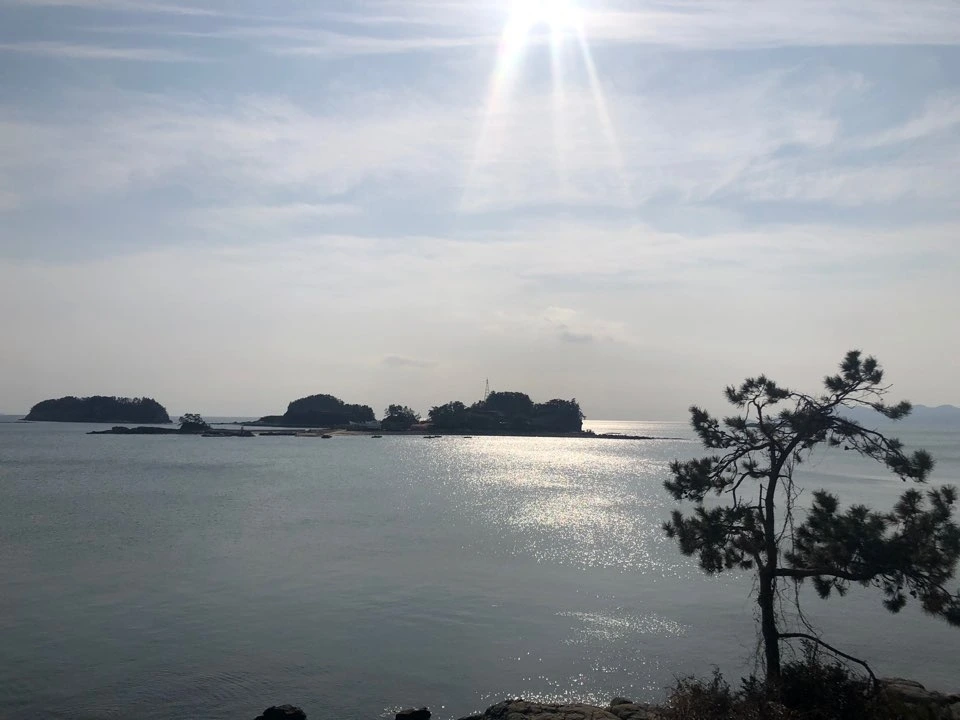 KakaoTalk_Photo_2022-01-26-12-43-11 016.jpeg