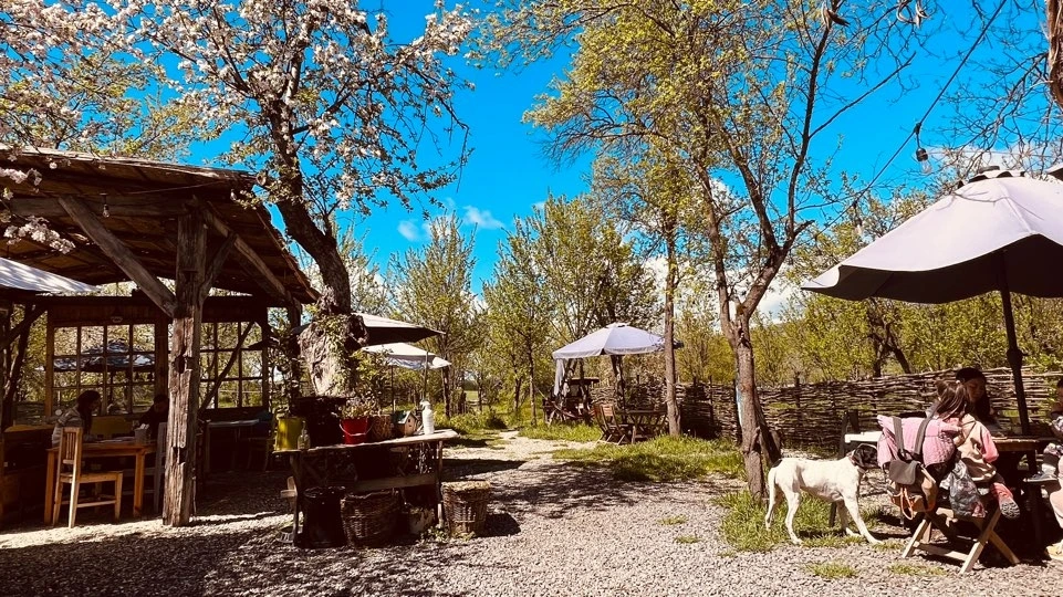 KakaoTalk_Photo_2023-08-18-22-03-31 007.jpeg