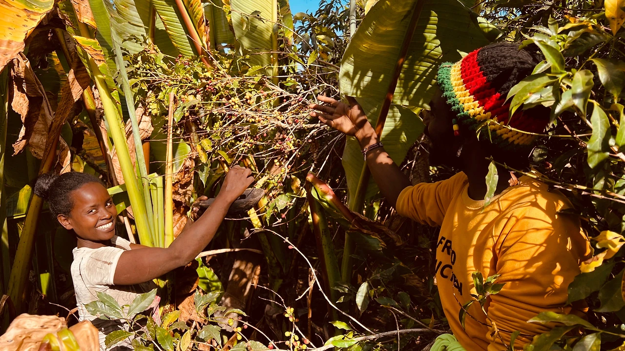 KakaoTalk_Photo_2023-12-12-09-33-53 016jpeg.jpeg