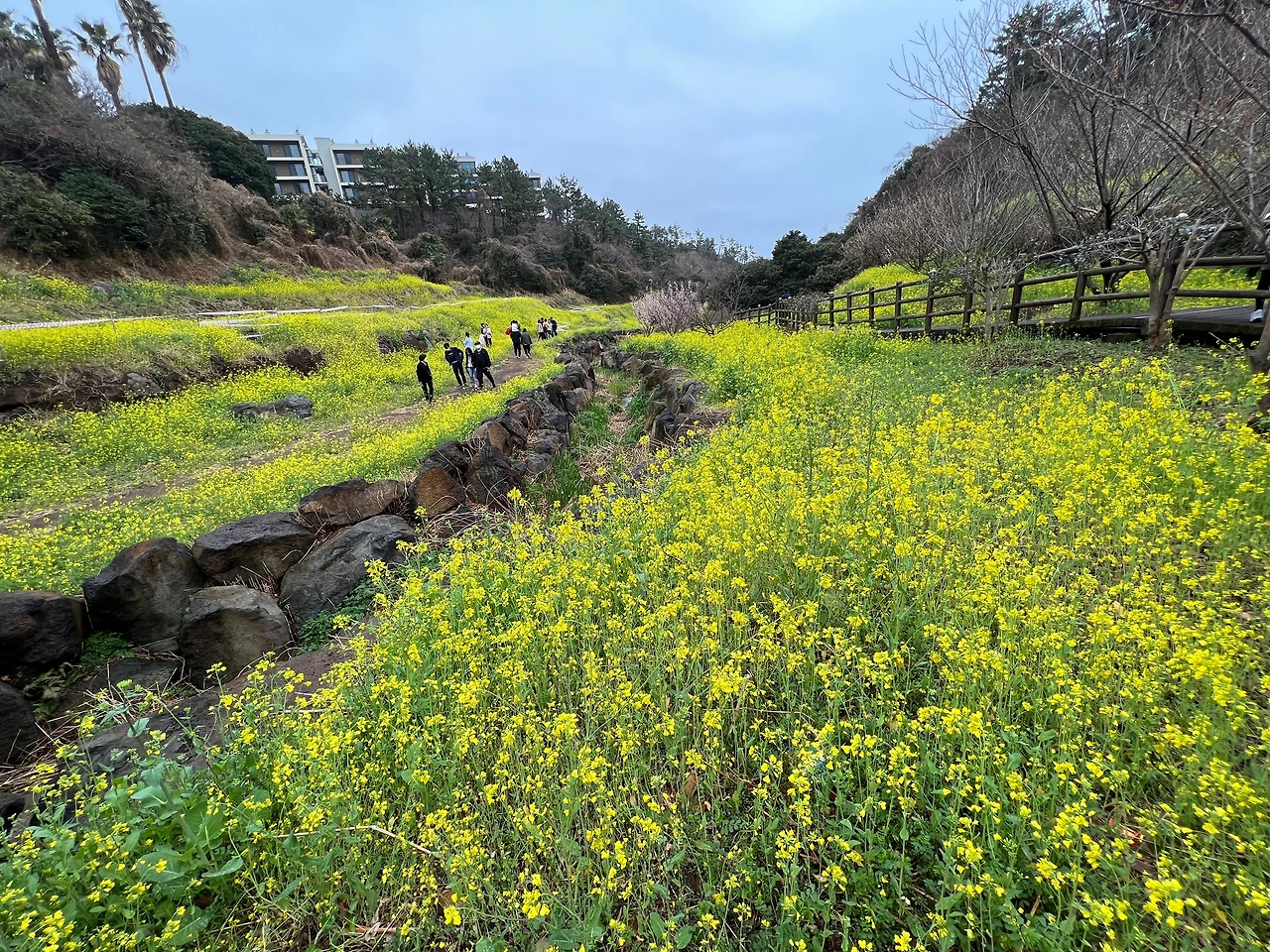 KakaoTalk_Photo_2022-03-15-08-51-13 005.jpeg