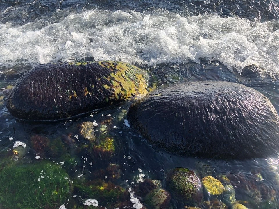 KakaoTalk_Photo_2022-01-26-12-43-11 011.jpeg