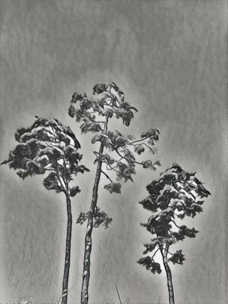 KakaoTalk_Photo_2021-09-21-12-31-30 002.jpeg