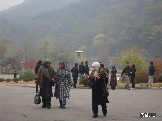 묘향산 1.jpeg