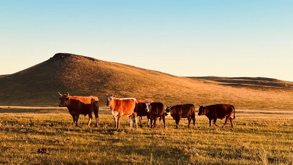 KakaoTalk_Photo_2023-03-23-06-29-28 013.jpeg