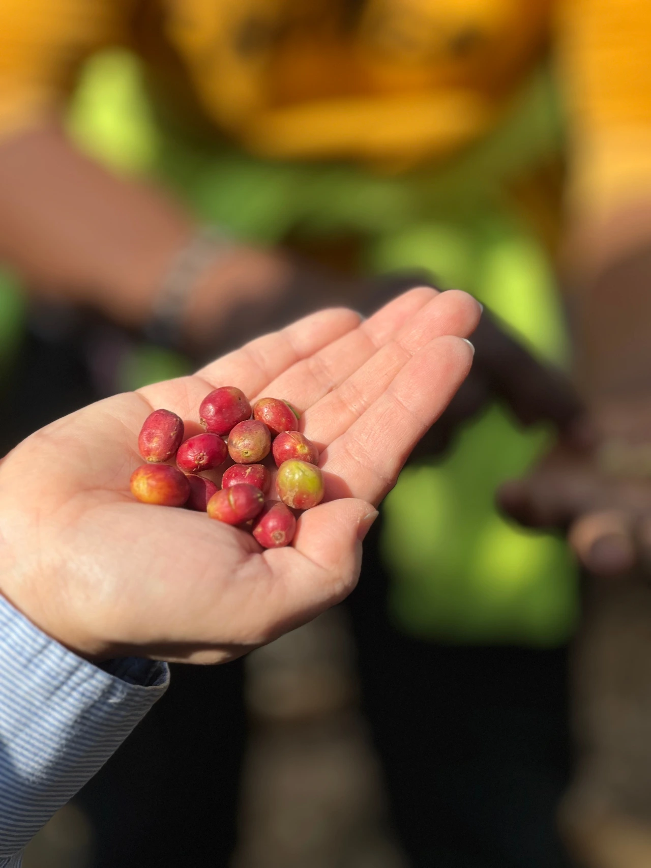 KakaoTalk_Photo_2023-12-12-09-33-47 013jpeg.jpeg