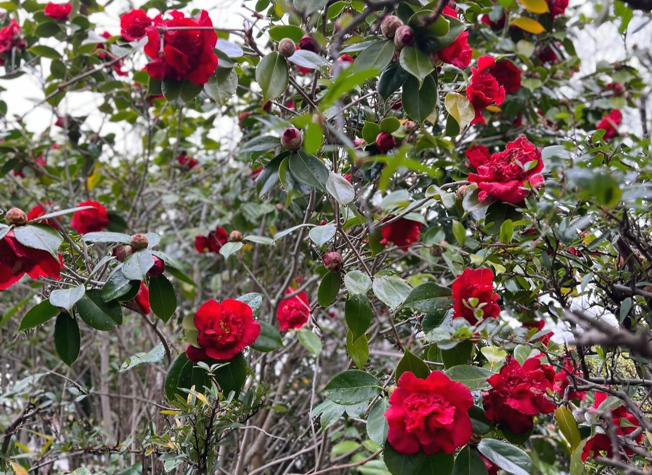 KakaoTalk_Photo_2022-03-15-08-51-13 007.jpeg