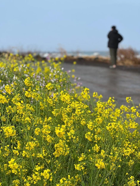 KakaoTalk_Photo_2022-03-15-08-51-12 003.jpeg