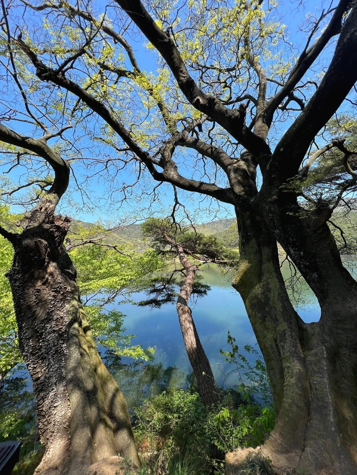 KakaoTalk_Photo_2022-04-18-06-10-24 011.jpeg