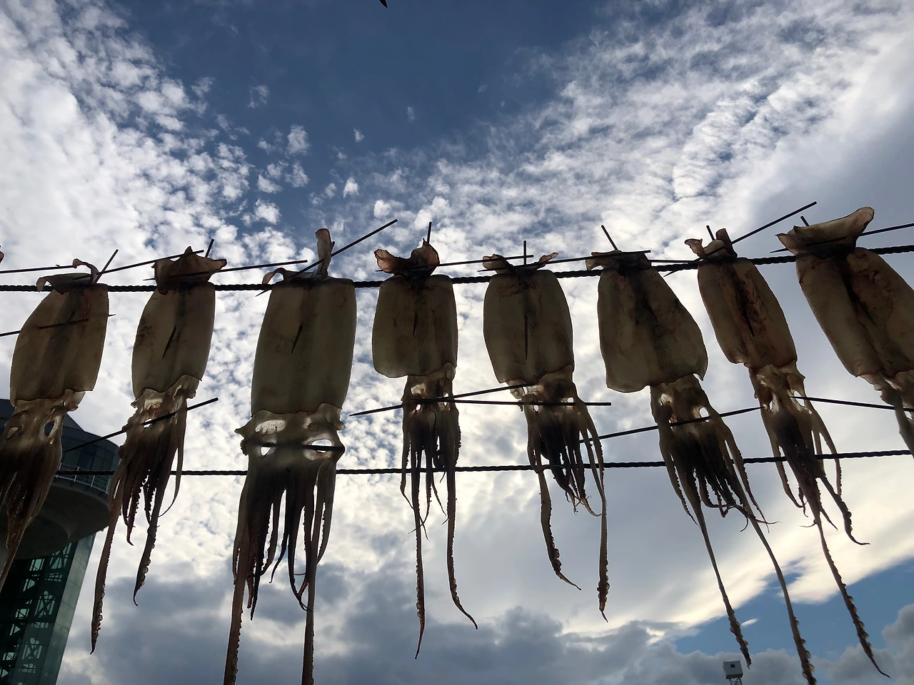 KakaoTalk_Photo_2021-12-17-07-44-49 004.jpeg