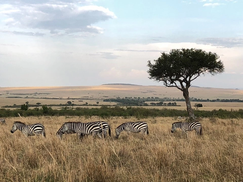 KakaoTalk_Photo_2021-09-15-10-01-21 013.jpeg