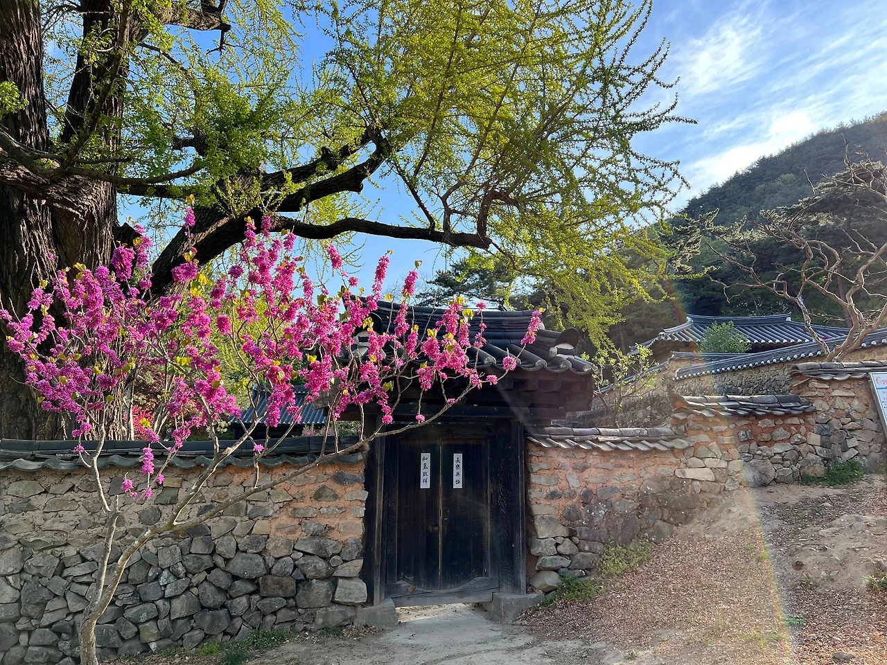 KakaoTalk_Photo_2022-04-18-06-09-53 013.jpeg