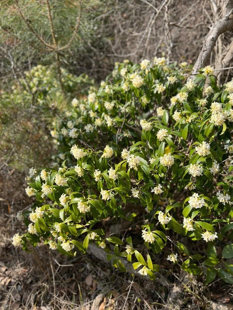 KakaoTalk_Photo_2022-03-15-08-51-12 001.jpeg