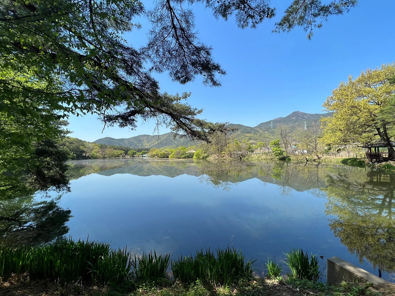 KakaoTalk_Photo_2022-04-18-06-10-25 013.jpeg