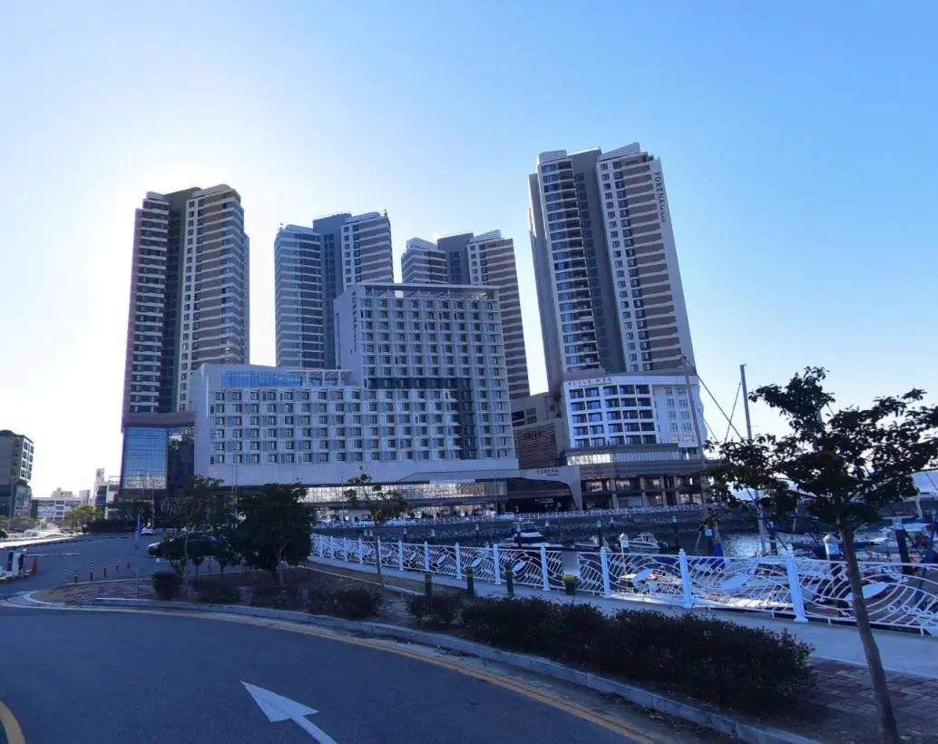 요트콜라 (151).JPG