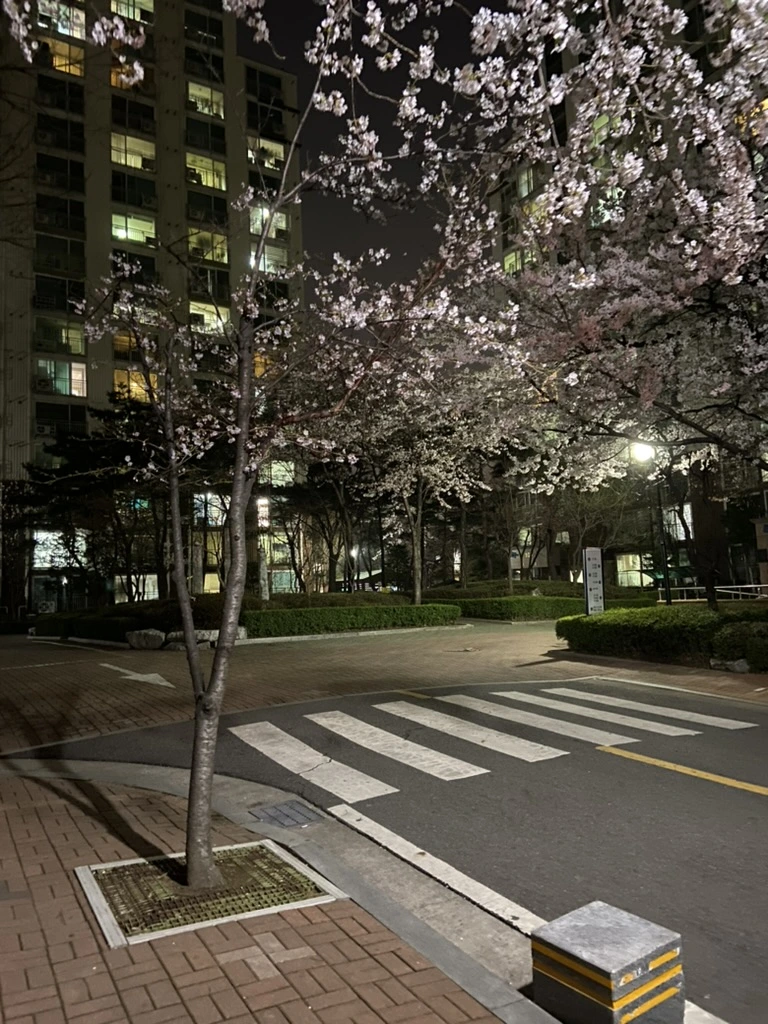 9BA6EDF8-160B-4F1F-81FD-04E4FB1D5C9A_1_105_c.jpeg?typew1