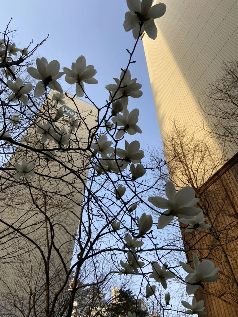 81E83502-08F4-4A6B-9783-299584CF48DA_1_105_c.jpeg?type=w1