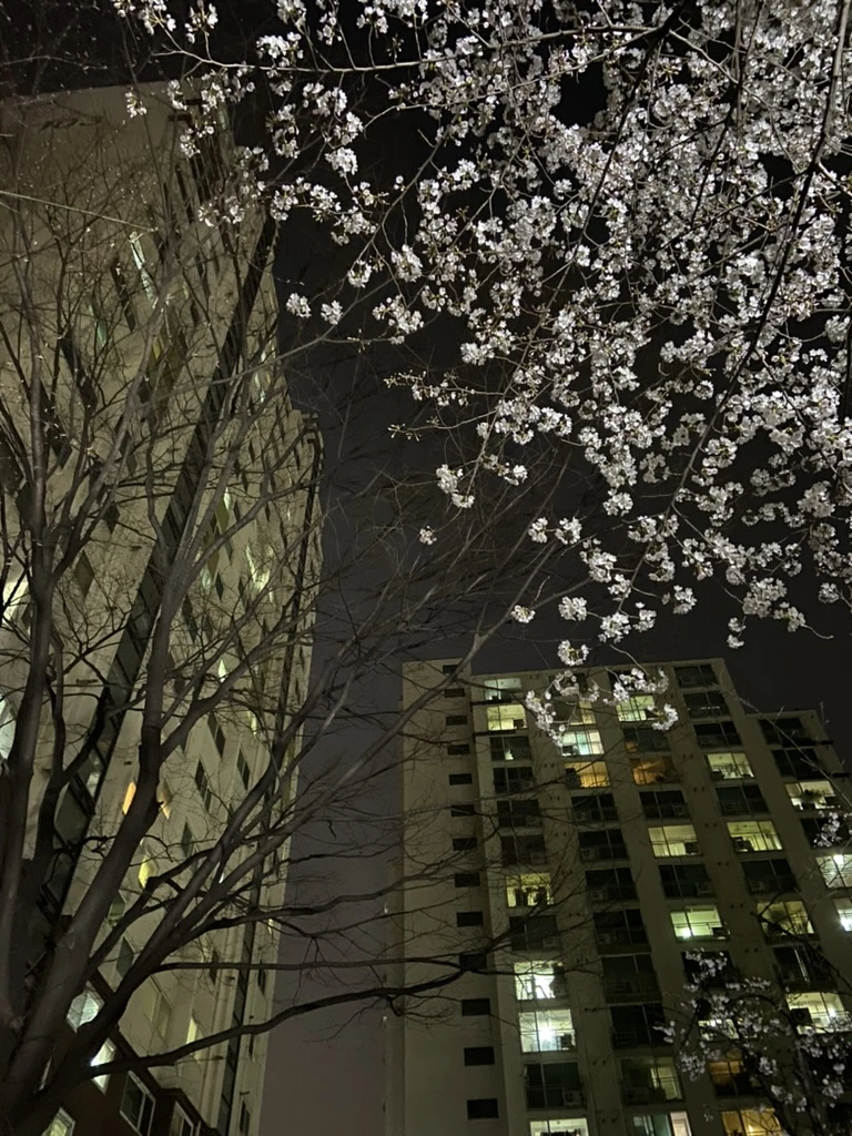 3234C0C9-E7C7-44B1-B874-D0AB2A7A10FE_1_105_c.jpeg?typew1