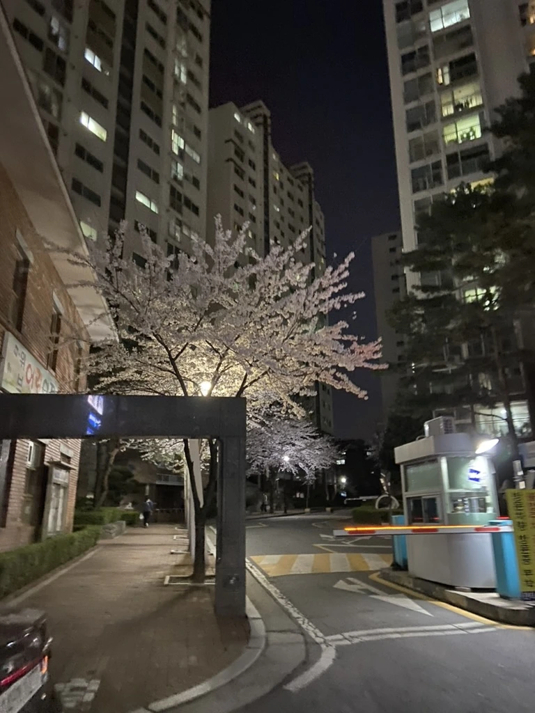 442745FA-B20A-456B-83EE-3DC7A935437D_1_105_c.jpeg?type=w1