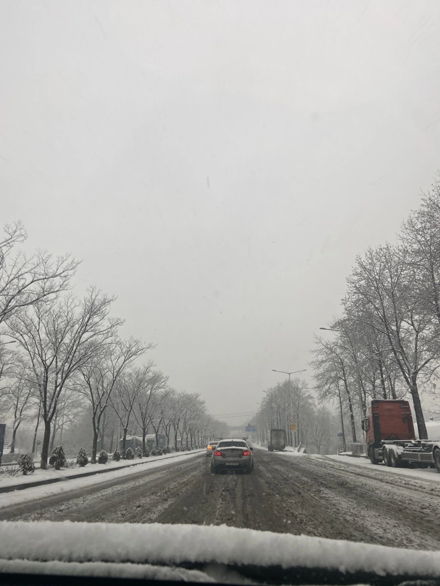 output_2581790229.jpg?type=w1