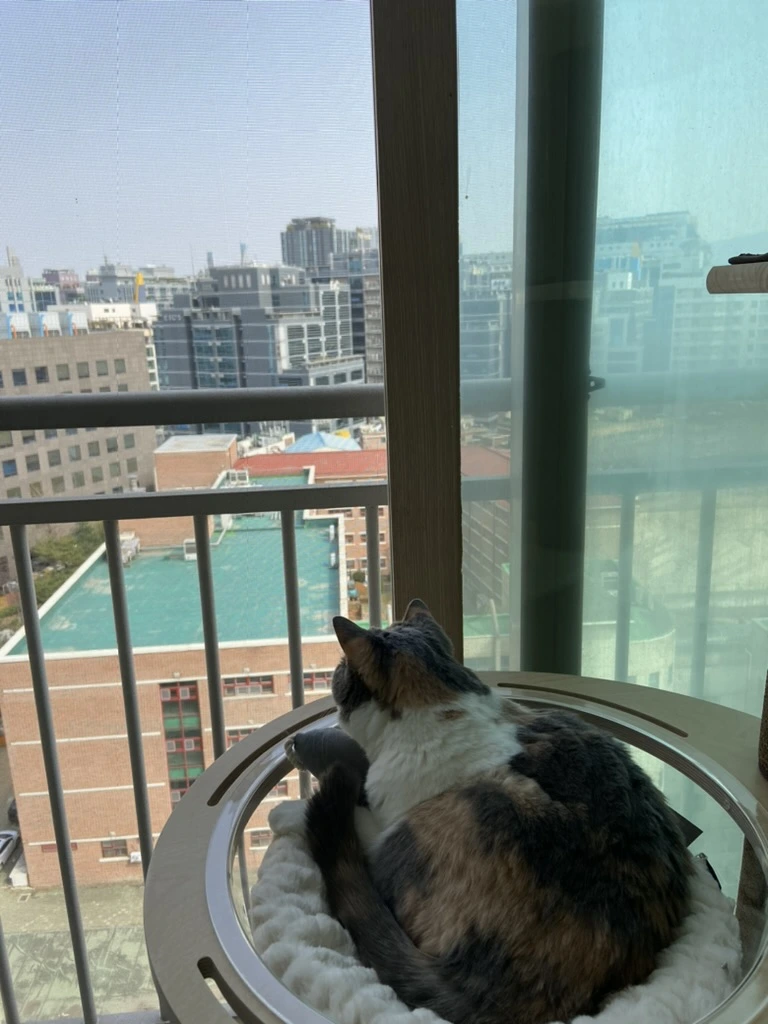 E00B8EA4-2E26-465F-9AD4-5EBEFC3DA55F_1_105_c.jpeg?typew1