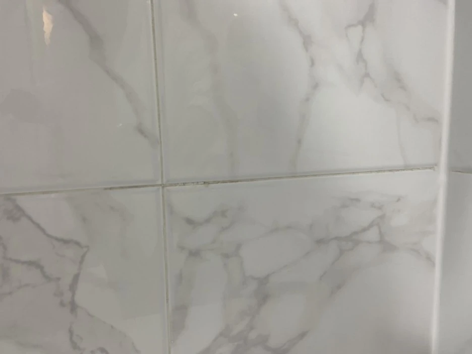 FAFEFF9F-19AC-4975-BA2F-89981AC5445D_1_105_c.jpeg?typew1