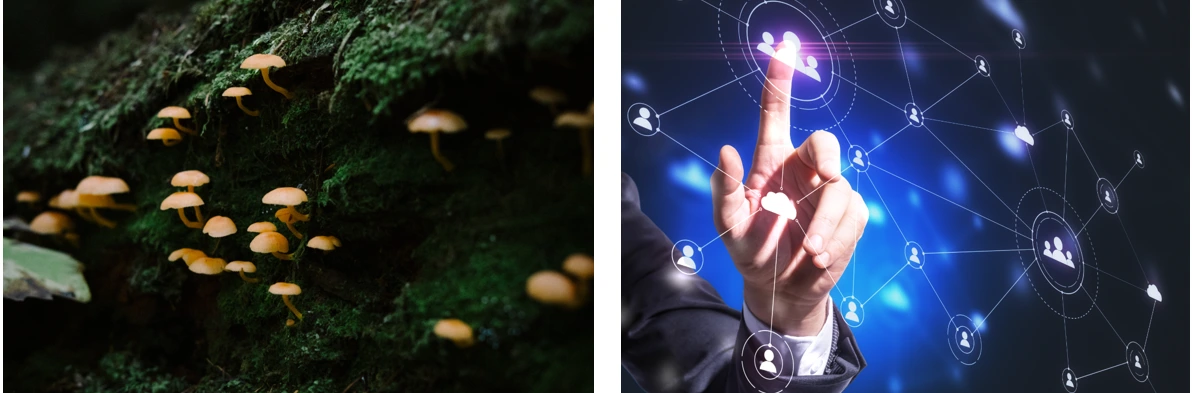 image.png?type=w1600