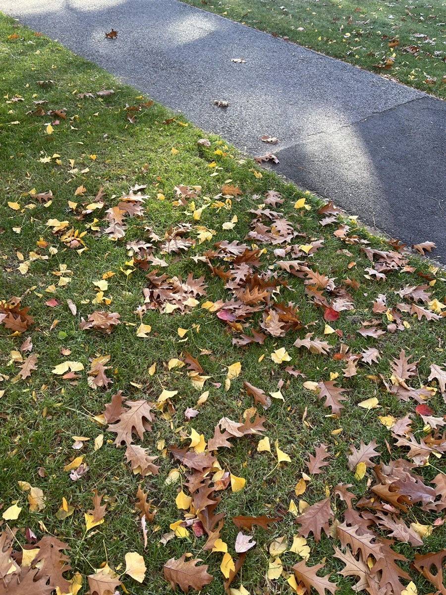 IMG_9612.JPG?type=w1