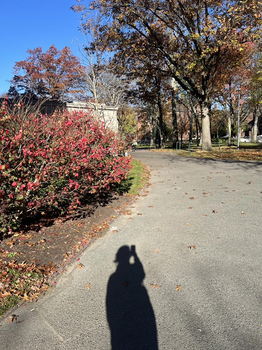 IMG_9616.JPG?type=w1