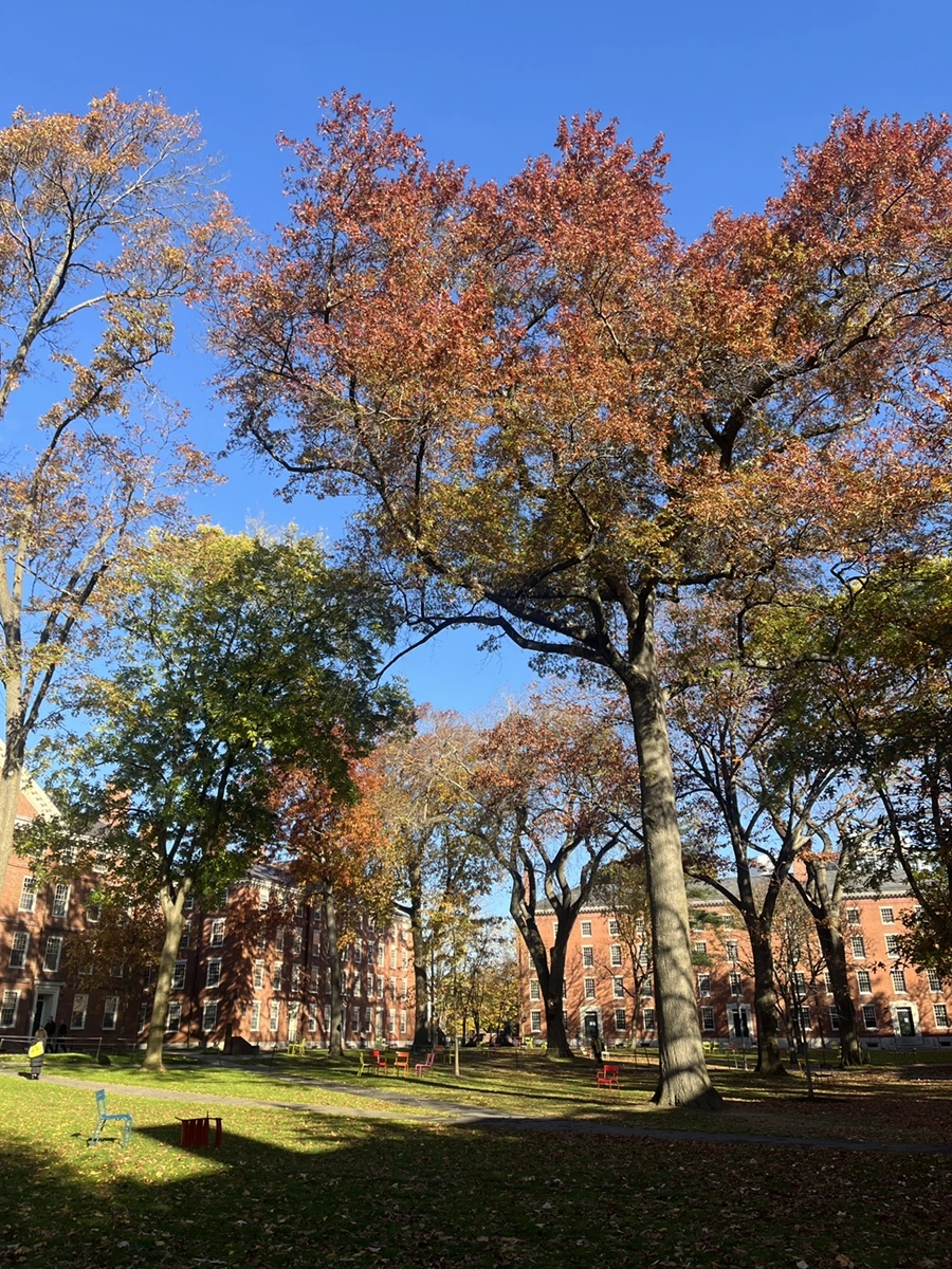 IMG_9589.JPG?type=w1