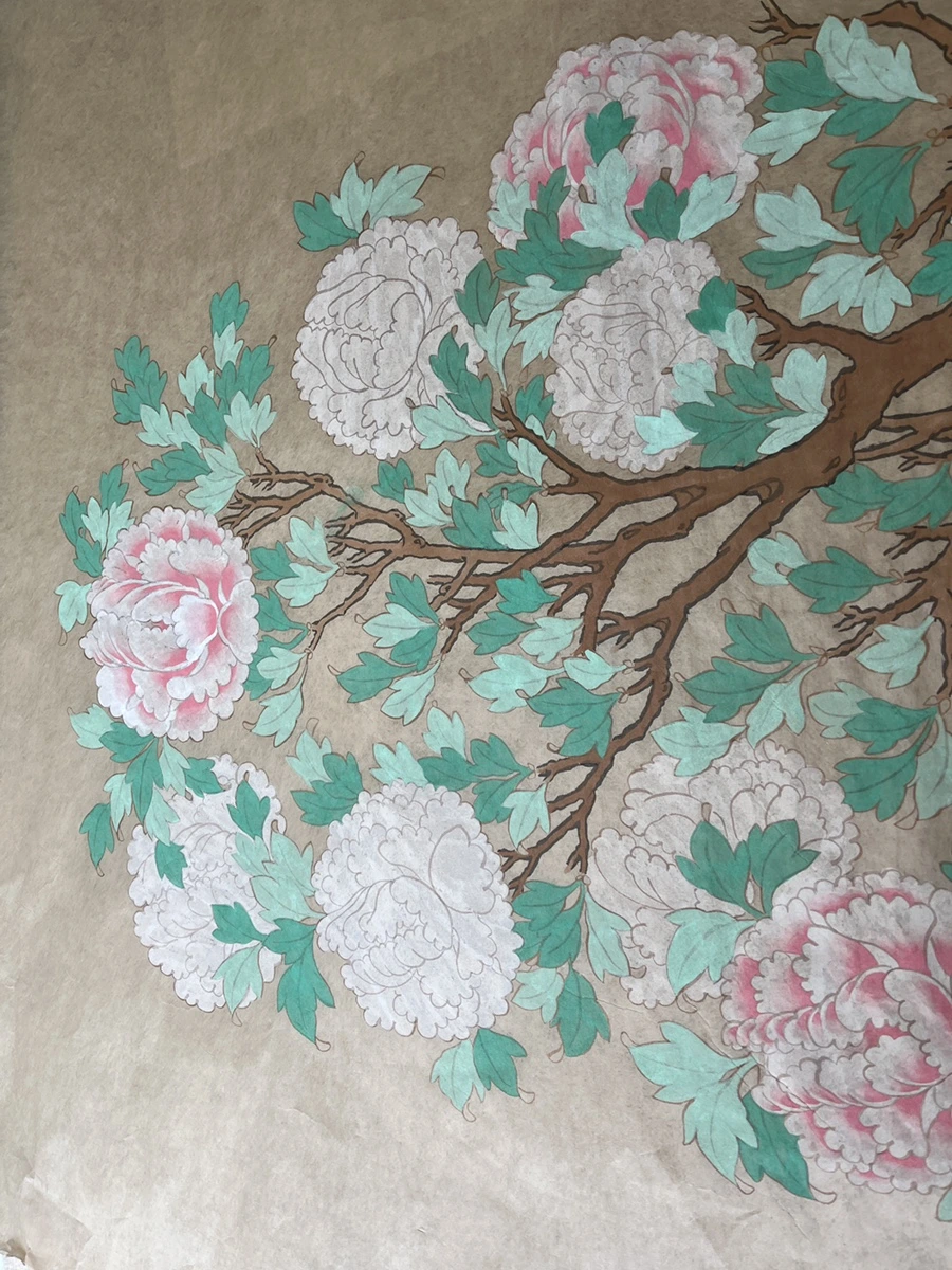 IMG_3520.JPG?type=w1