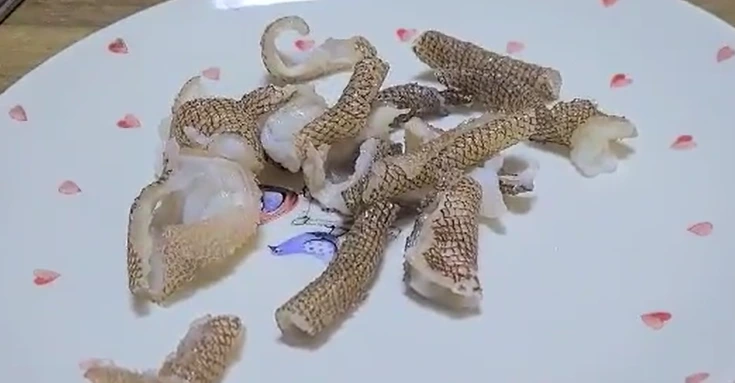 붉바리 껍질.PNG