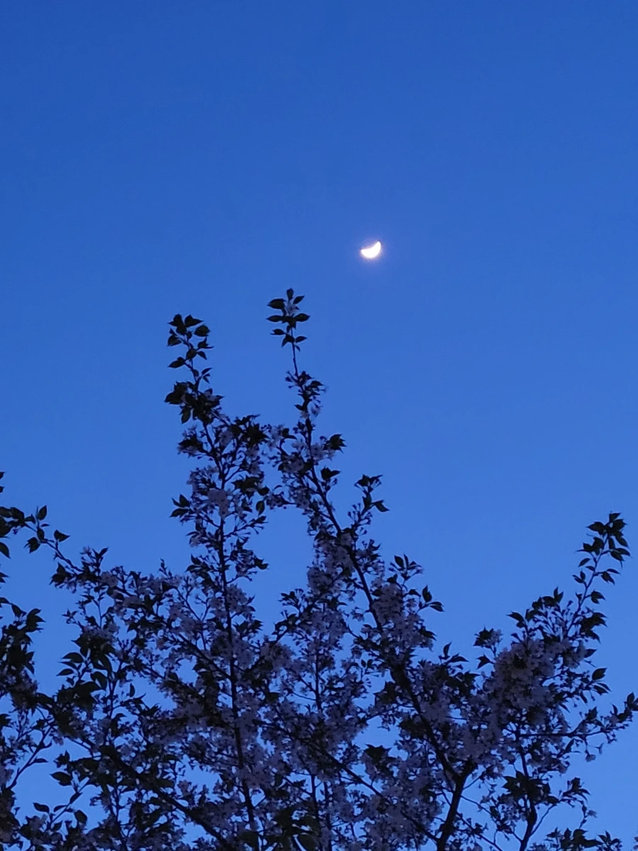 900%EF%BC%BF20240413%EF%BC%BF193111.jpg?type=w1