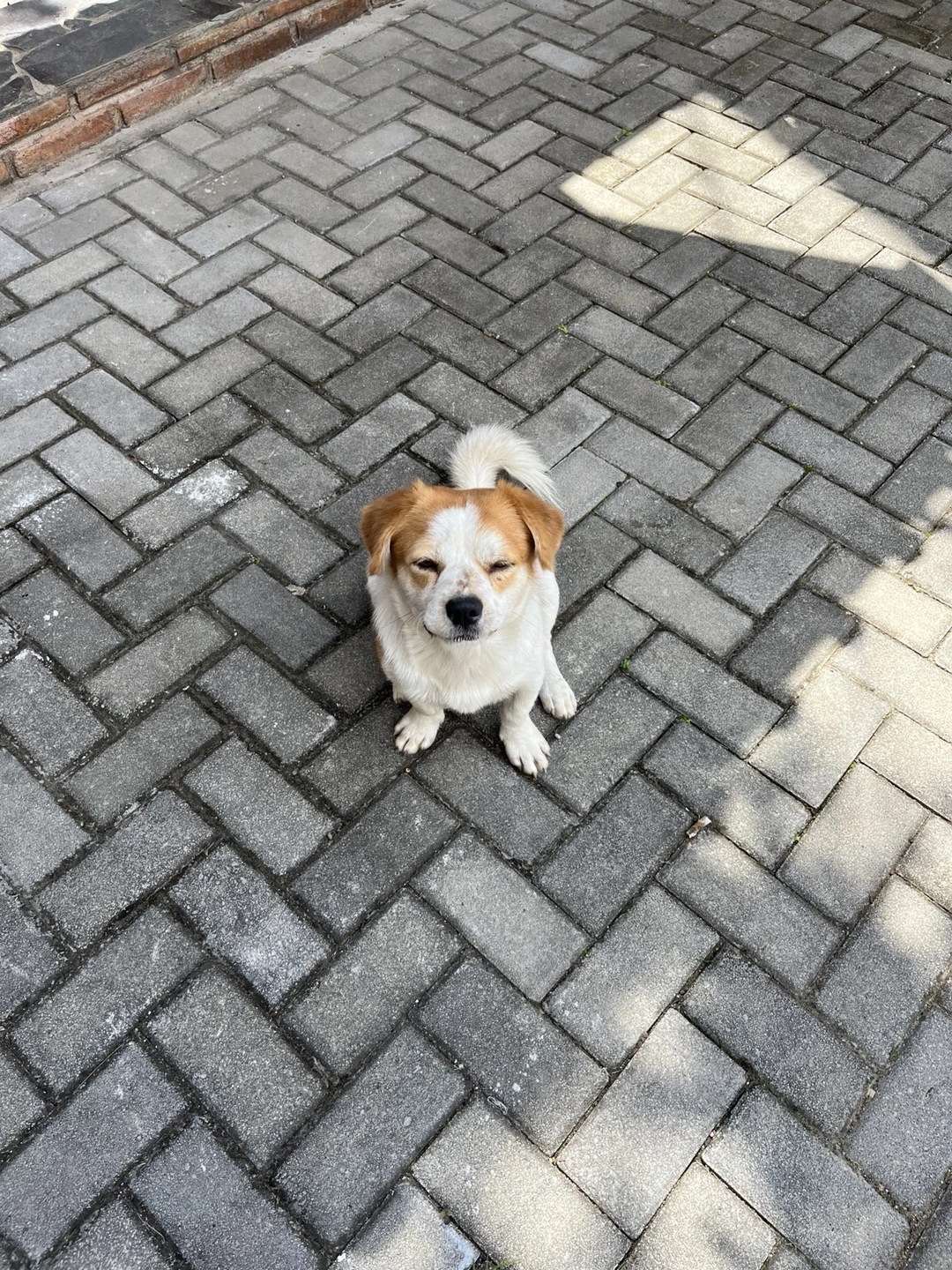 KakaoTalk_Photo_2024-04-17-12-49-29 004.jpeg