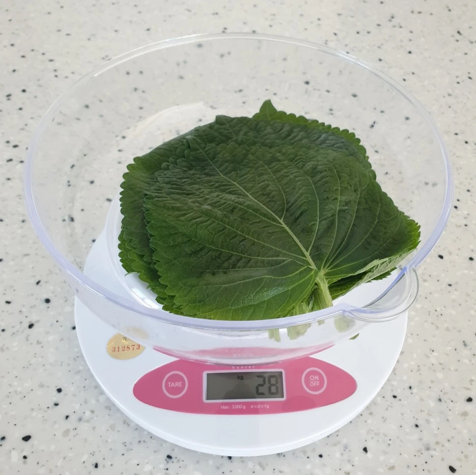 SE-3e569fd4-b45d-4d96-b3c4-cb2aa4062d36.jpg?type=w1