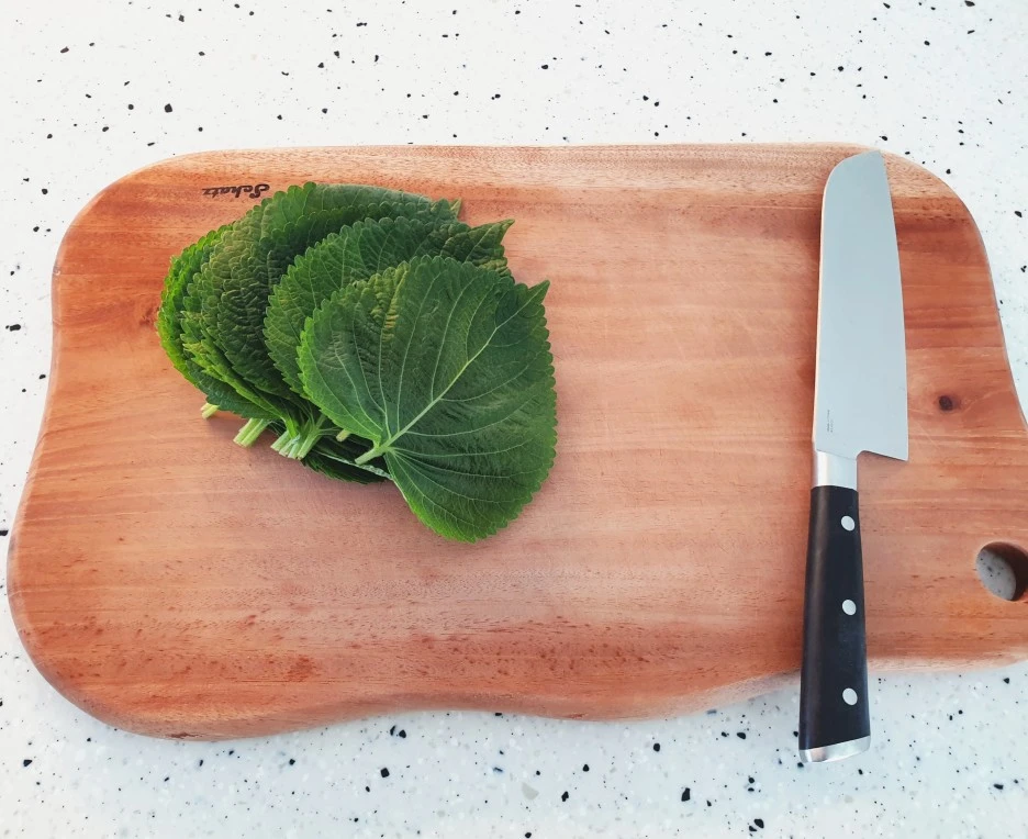 SE-b6a0fddc-369d-4d08-a2e3-0d7b67dc55a3.jpg?type=w1