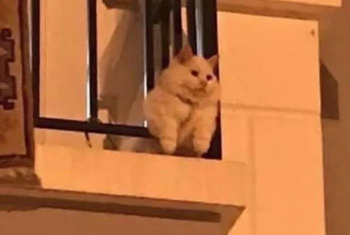 ?src=http%3A%2F%2Fblogfiles.naver.net%2FMjAyNDEwMTlfMjYx%2FMDAxNzI5MzQ1OTk1NzYz.F2mSn3h6i-2CXEdV_OaB86LEXRYfwKHg8tY68m6iIuMg.VmexfKEQXIFG83Zayal8Q2EWRhe-6HlQrn-E8h7gTVsg.JPEG%2FIMG_7217.JPG&type=sc960_832