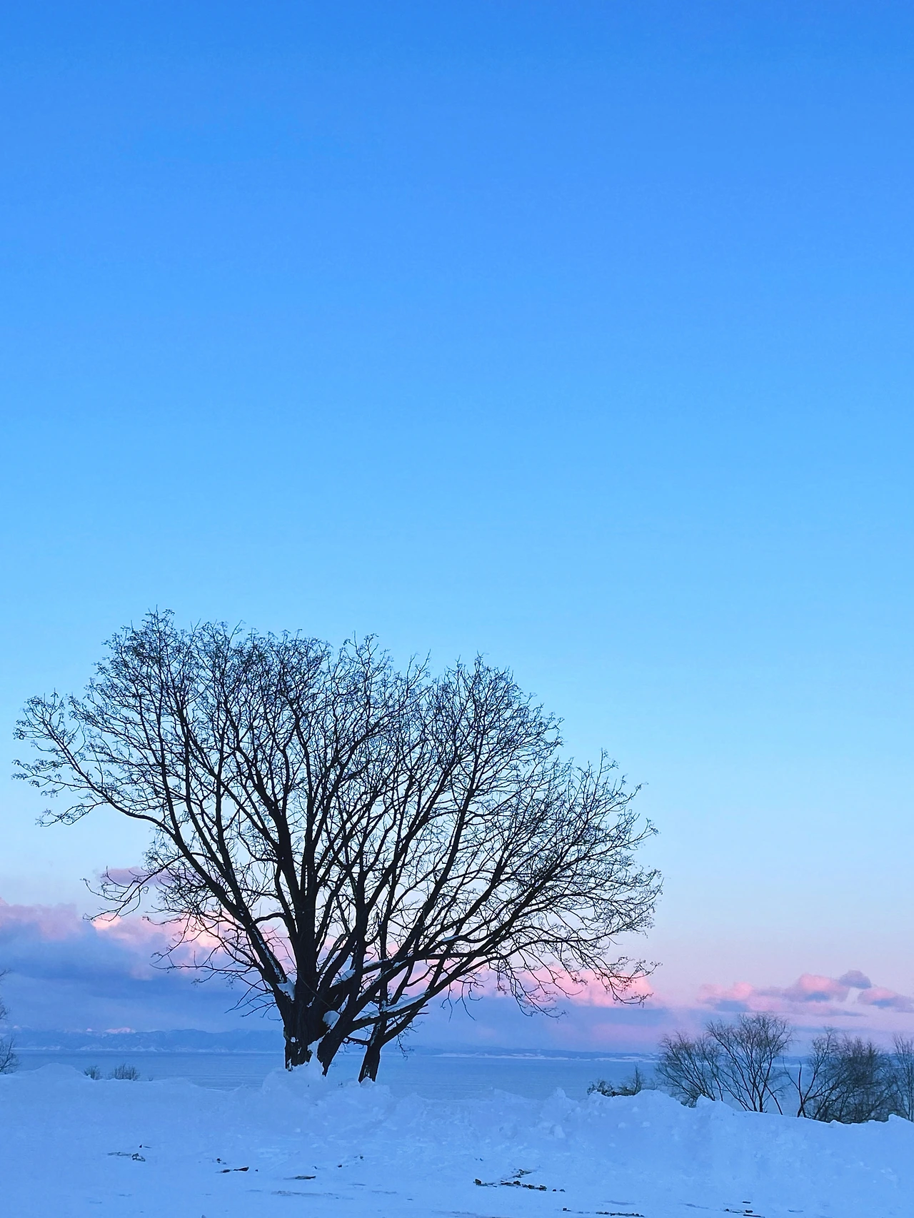 오타루 - 하늘 .JPG