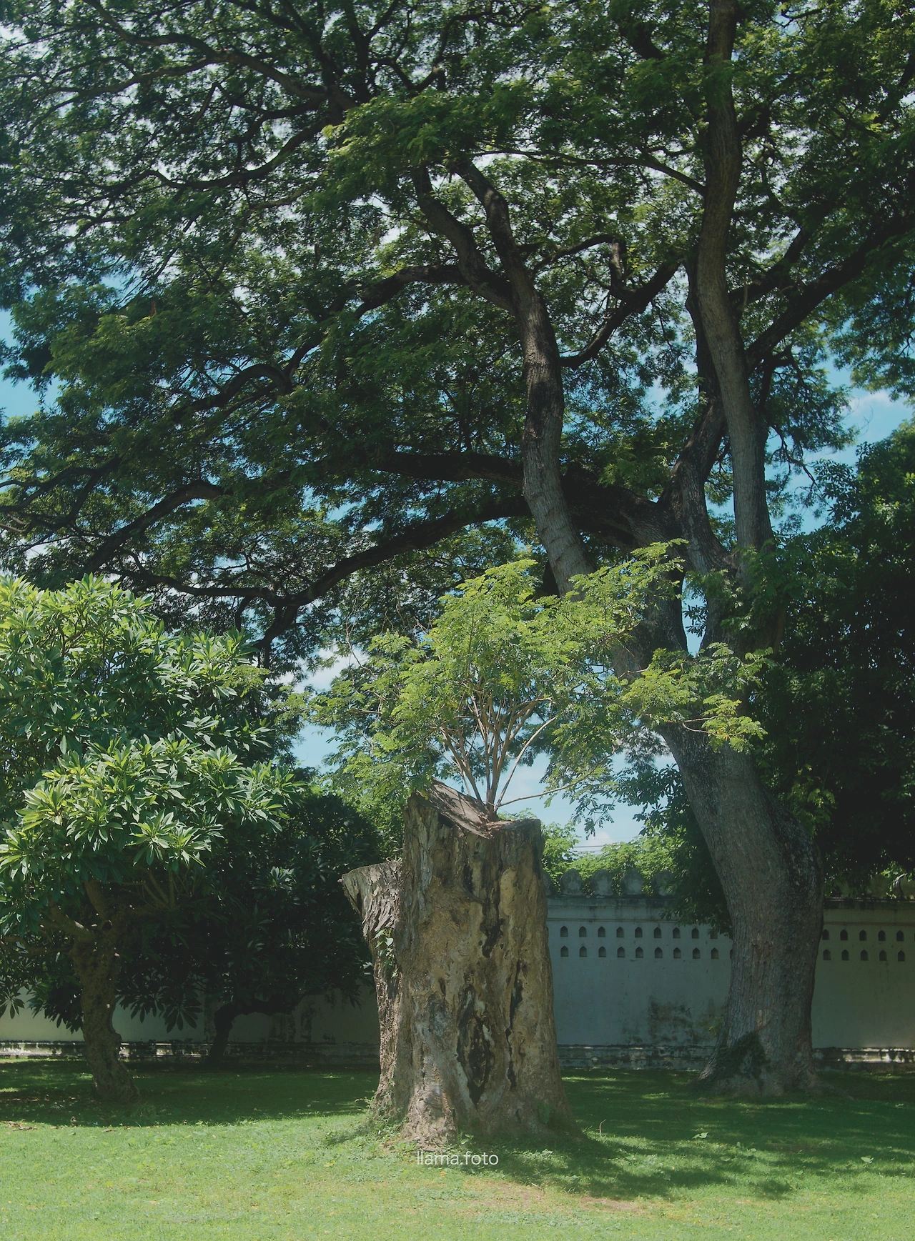 롭부리_타이로드 전용-45.JPG