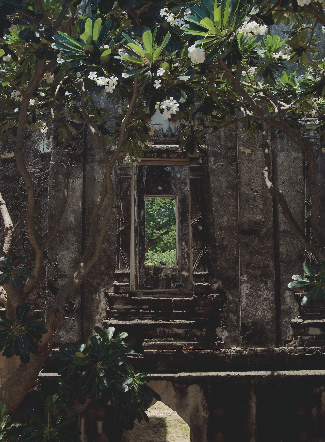 롭부리_타이로드 전용-20.JPG