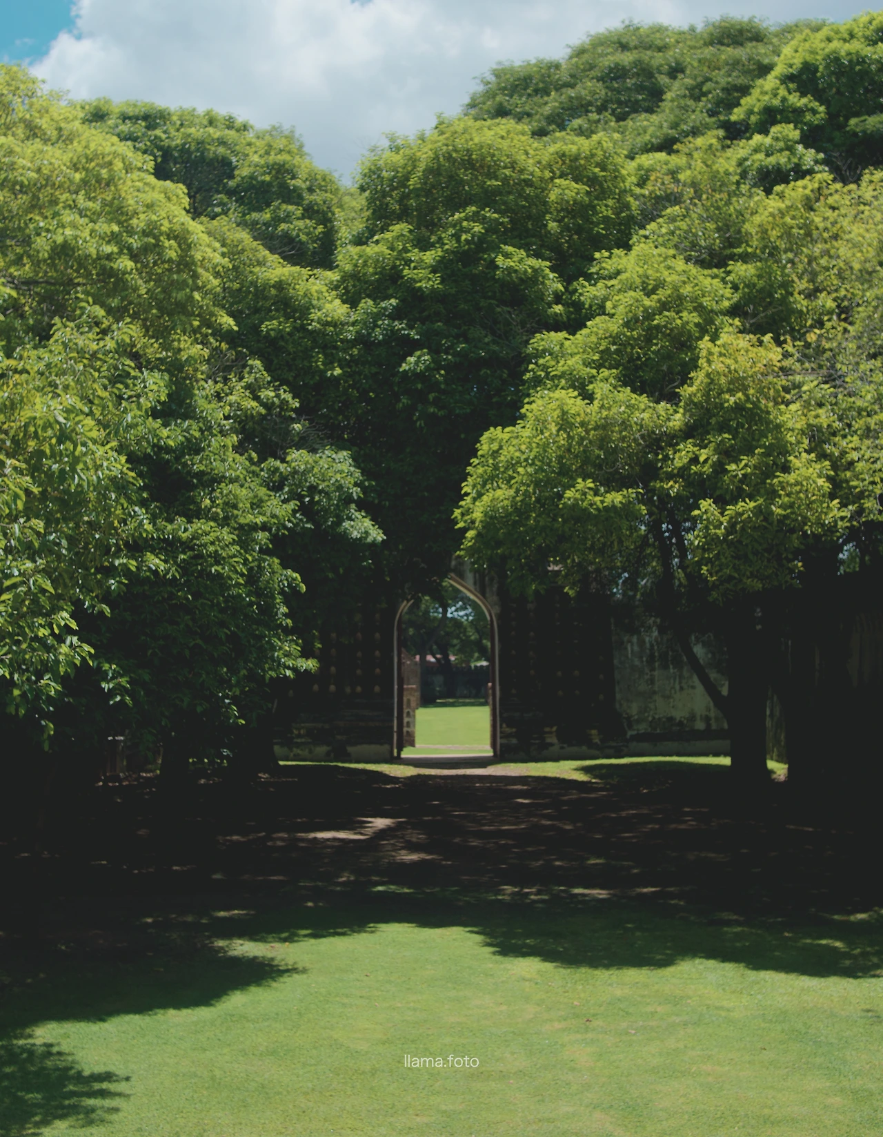 롭부리_타이로드 전용-17.JPG